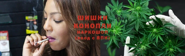 гидра Елизово