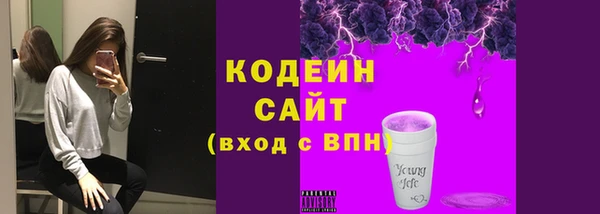 гидра Елизово