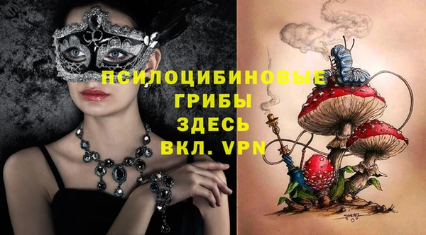 спиды Дмитриев