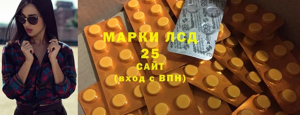 гидра Елизово