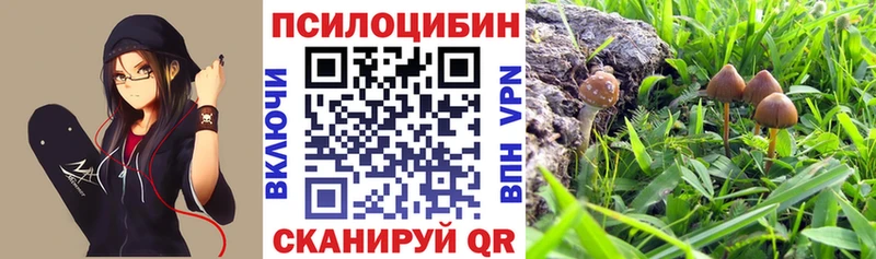 сколько стоит  ссылка на мегу ССЫЛКА  Галлюциногенные грибы прущие грибы  Гай 