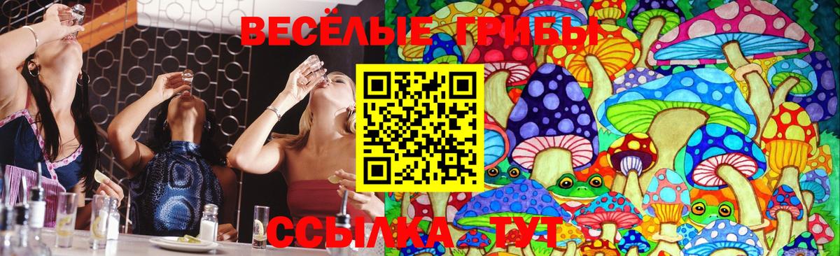 Галлюциногенные грибы GOLDEN TEACHER  Псилоцибиновые грибы прущие грибы  Гай 