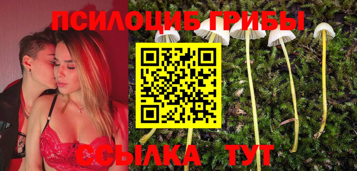 Псилоцибиновые грибы мицелий  Вход с VPN  Гай 