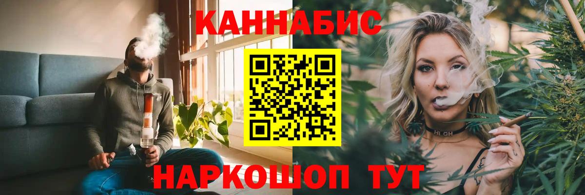 Шишки марихуана план Гай